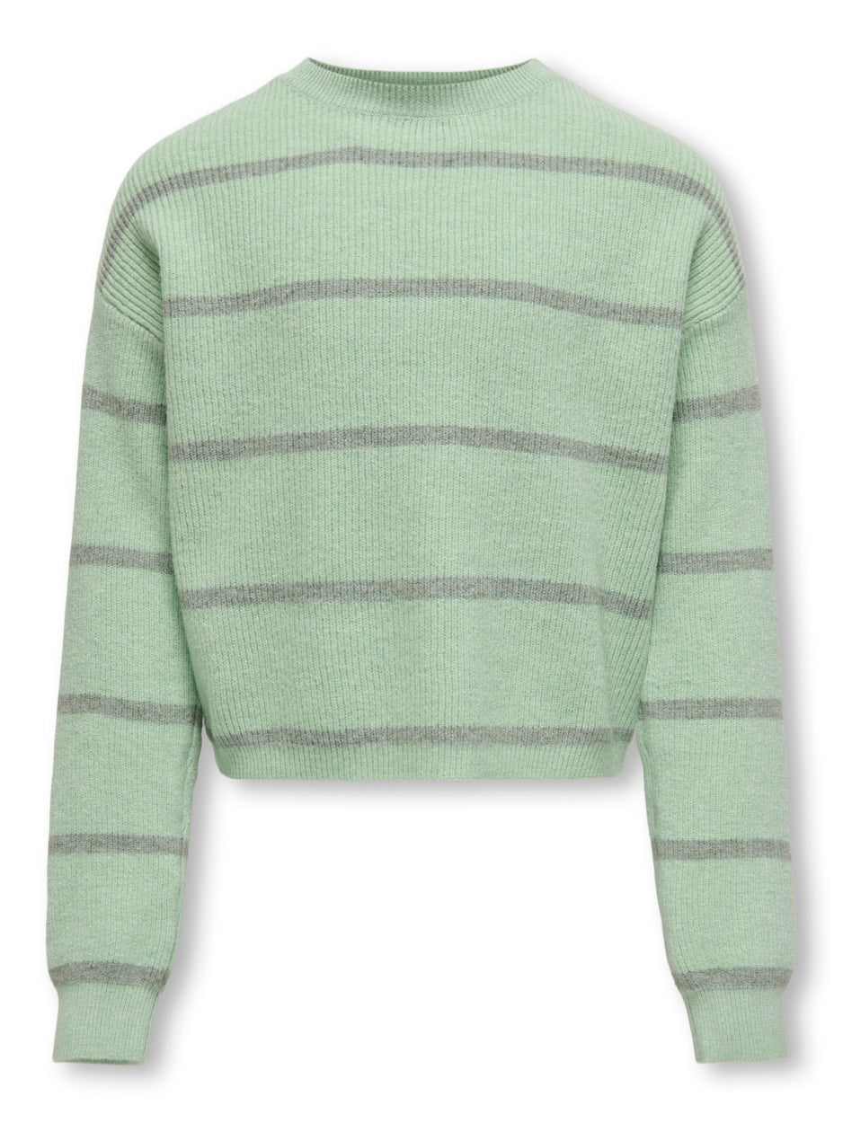 Kogfranca Short Ls Stripe Knt - Groen Dessin