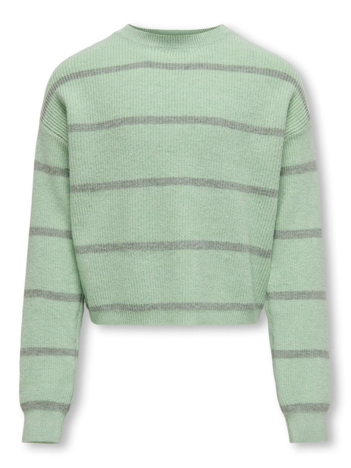 Kogfranca Short Ls Stripe Knt - Groen Dessin