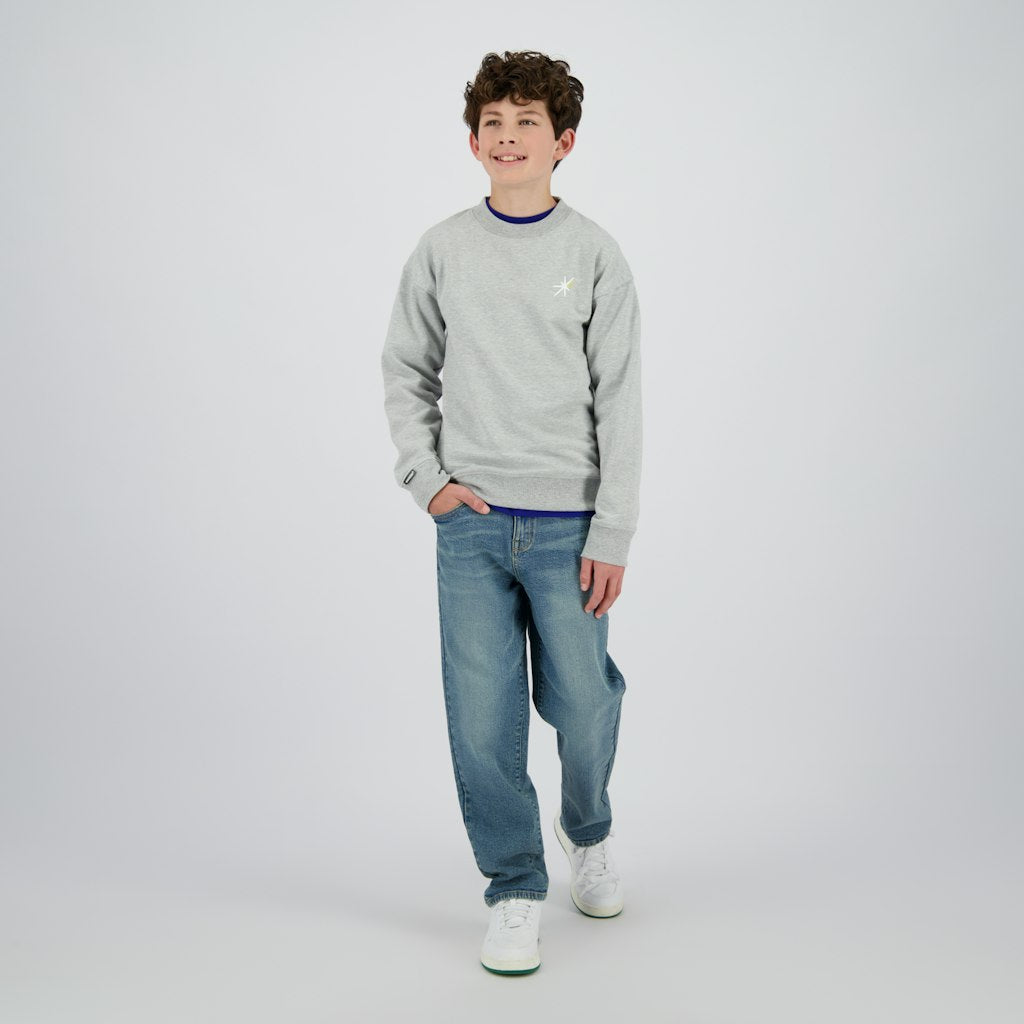 Norwin - Grijs Melee