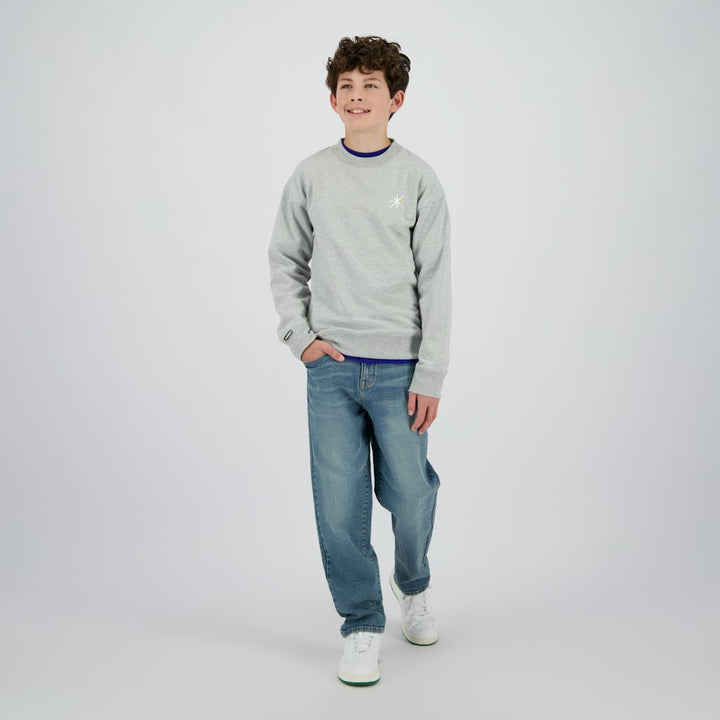 Norwin - Grijs Melee