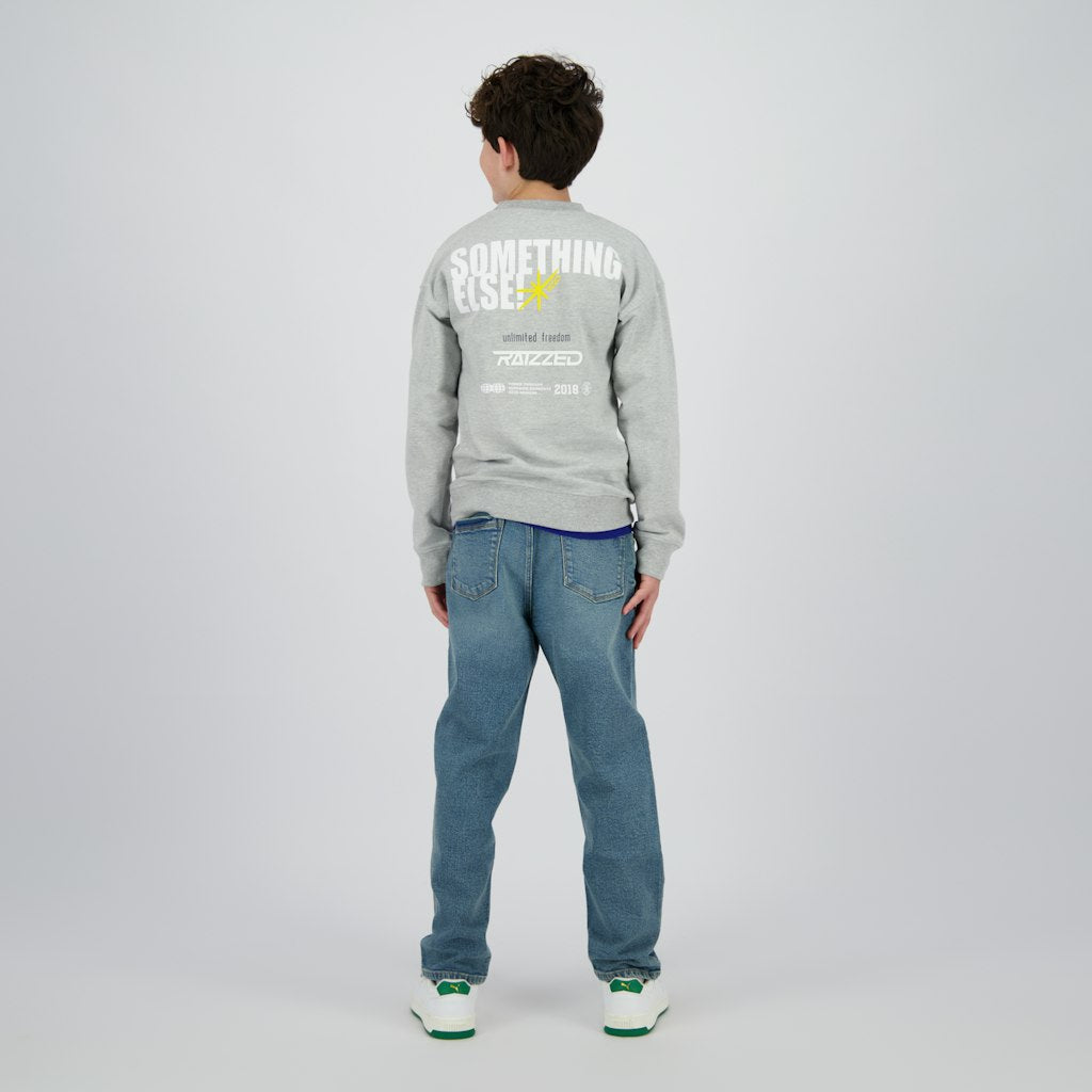 Norwin - Grijs Melee