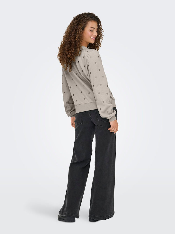 Onlatika L/s O-neck Glitter Emb. Box Swt - Kit