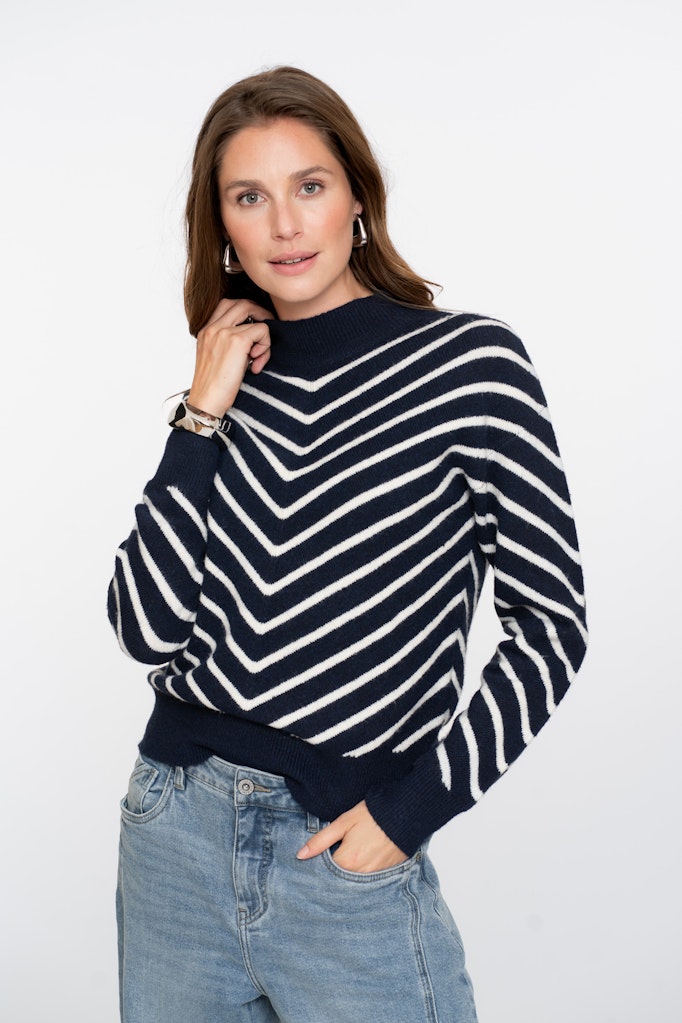 Pull Stripes Turtleneck - Blauw Dessin