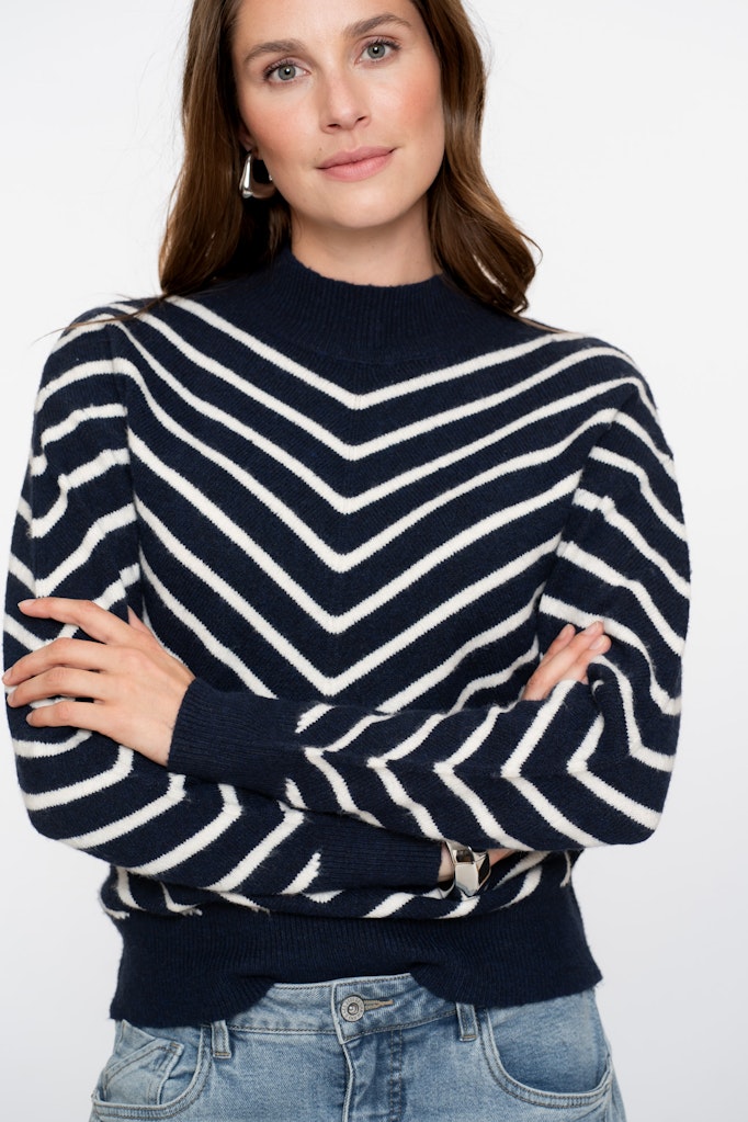 Pull Stripes Turtleneck - Blauw Dessin