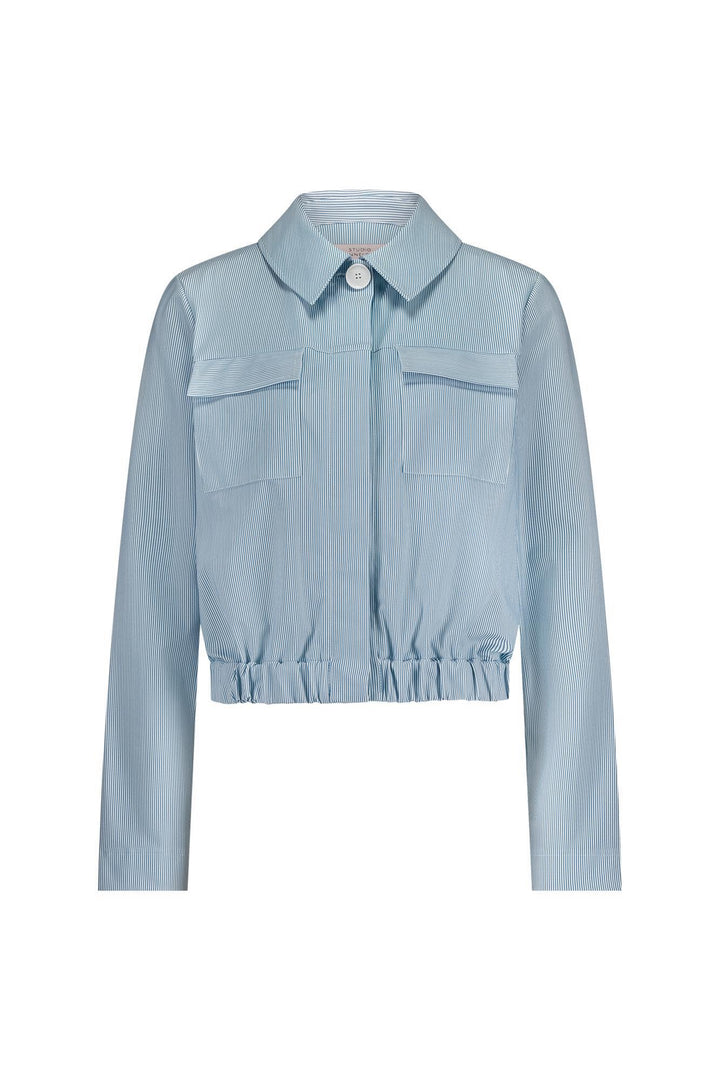 Geertje Stripe Jacket - Blauw Dessin