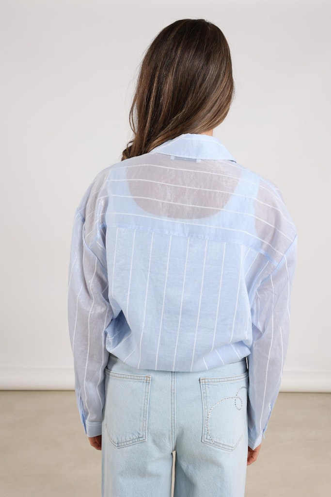 Iris Blouse Stripe - Blauw Dessin