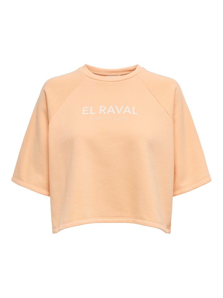 Onlcora S/s Print O-neck Ub Swt - Abricot