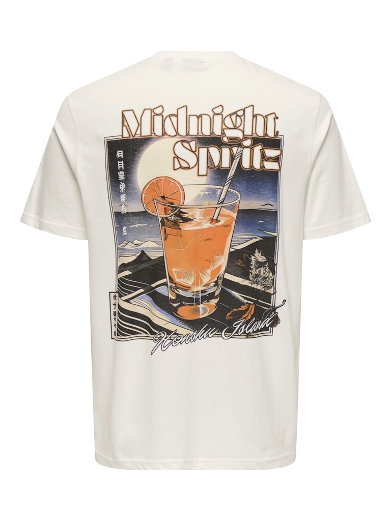 Onschris Life Reg Ss Tee - Off-white