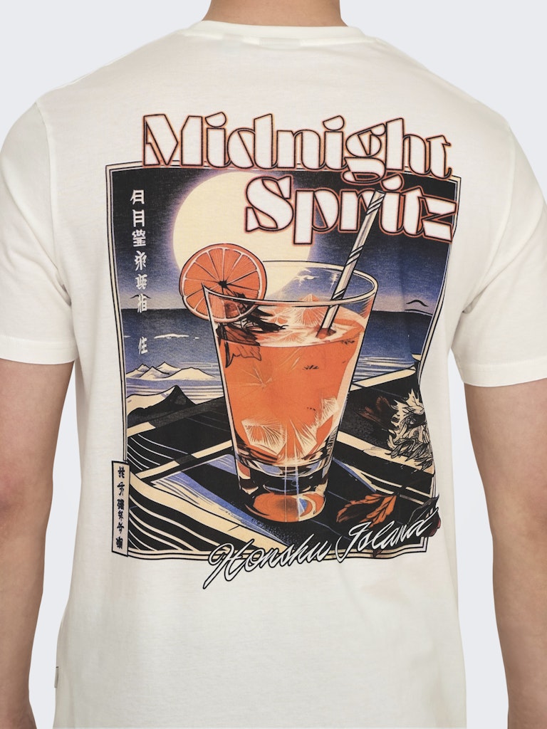 Onschris Life Reg Ss Tee - Off-white