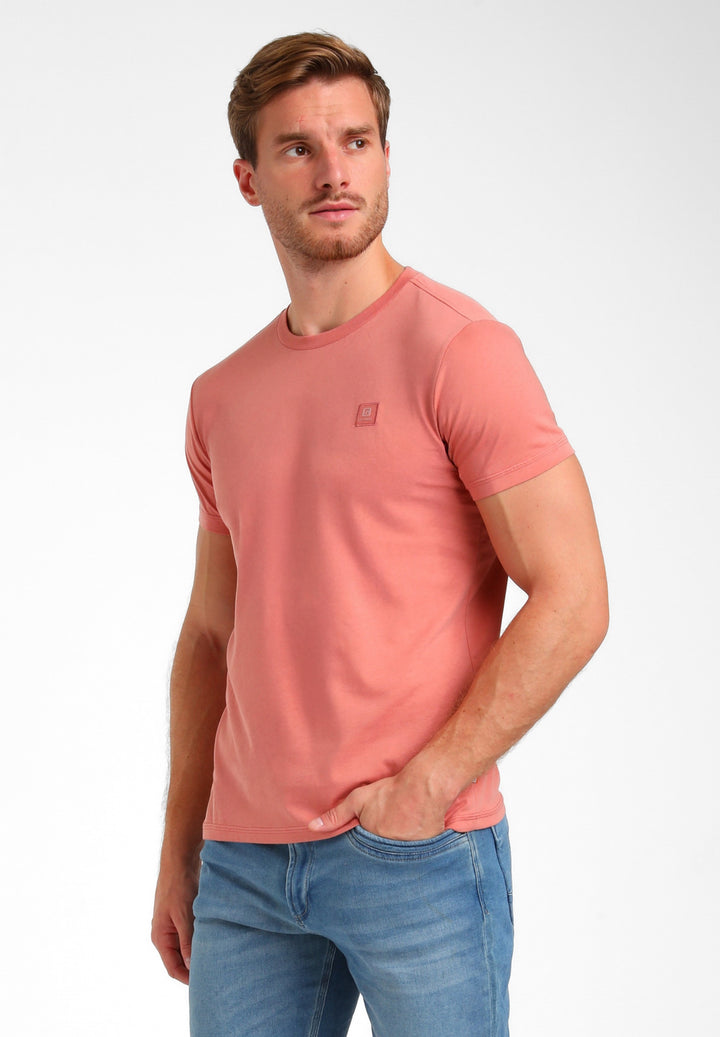 152713 - Oud Roze