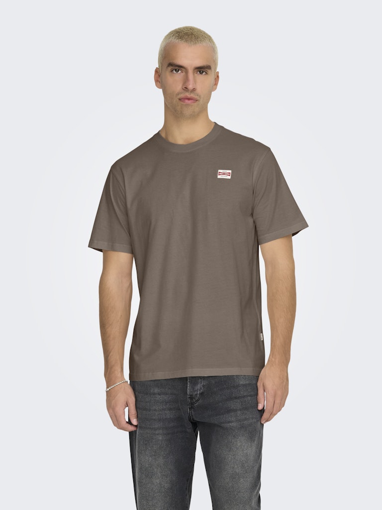 Onsdawson Reg Ss Tee Vd - Taupe