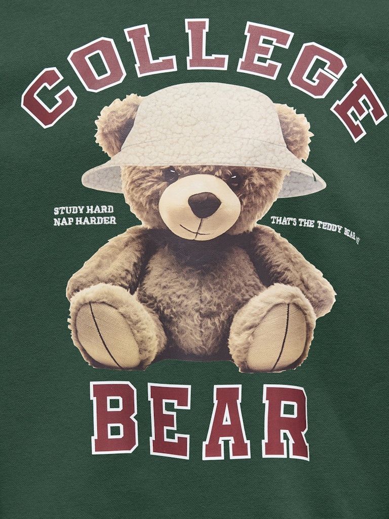 Kogbila L/s Ovz Bear O-neck Swt Noos - Groen