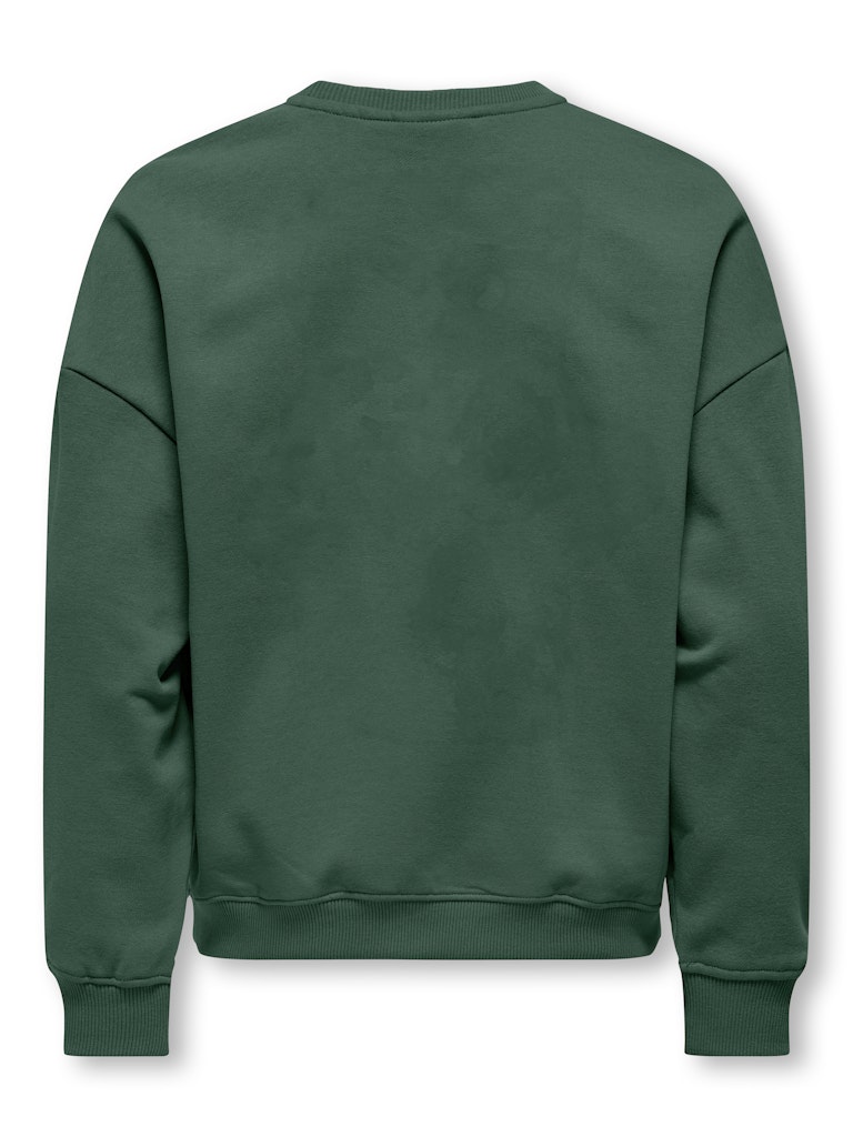 Kogbila L/s Ovz Bear O-neck Swt Noos - Groen