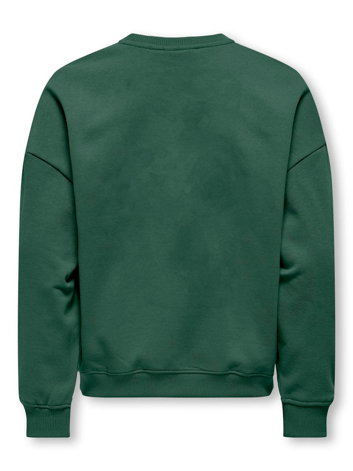 Kogbila L/s Ovz Bear O-neck Swt Noos - Groen