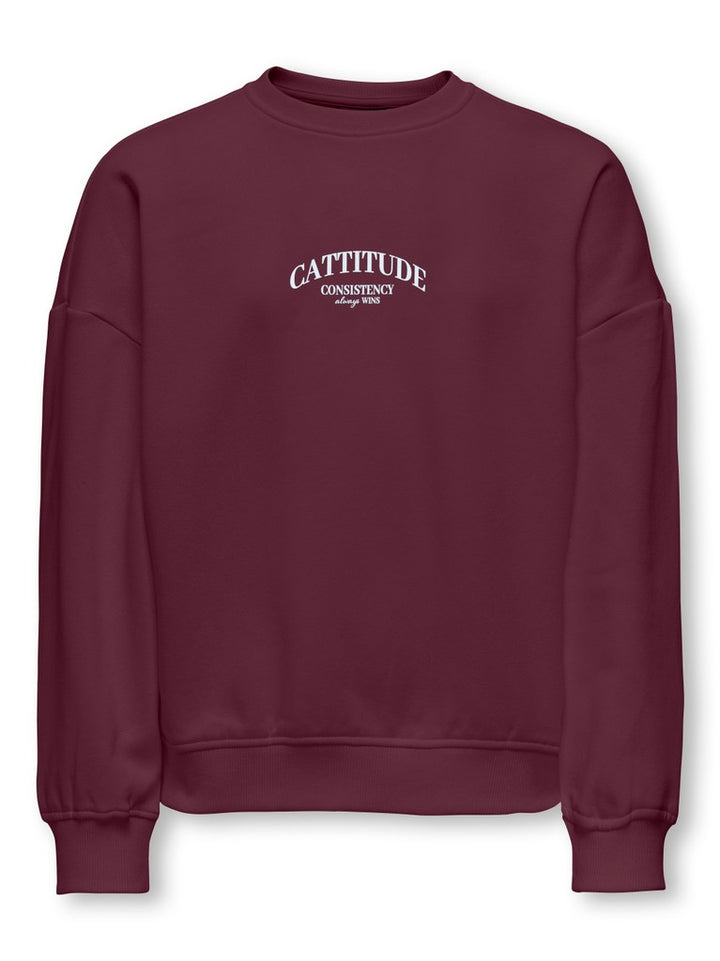 Kogbila L/s Ovz Print O-neck Swt Noos - Bordeaux