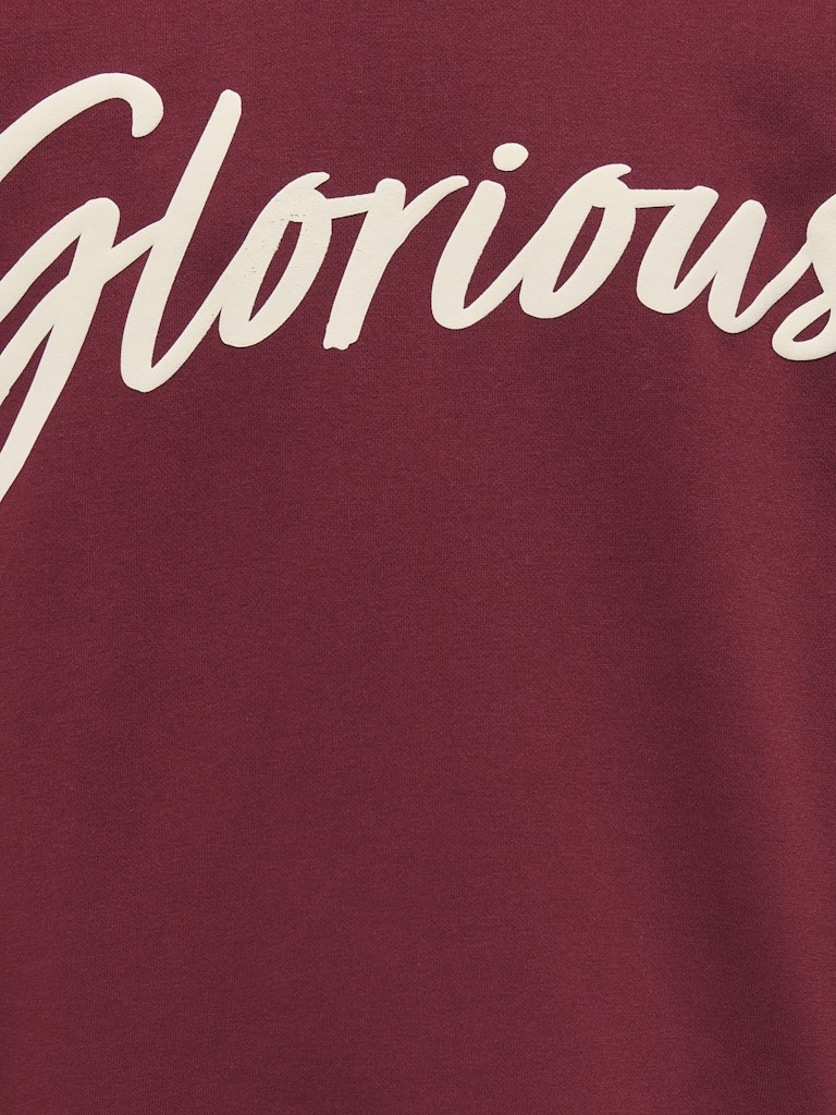 Koghella Life Ls O-neck Loose Print Swt - Bordeaux
