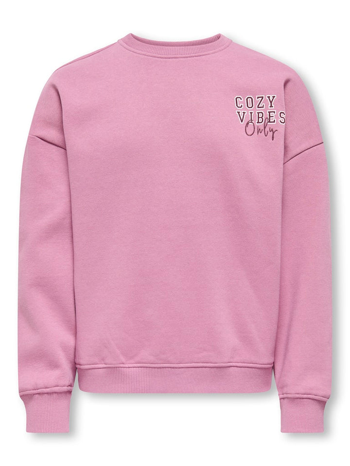 Kogbila L/s Ovz Bear O-neck Swt Noos - Mauve