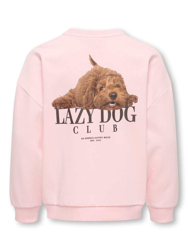 Kogbila L/s Ovz Print O-neck Swt Noos - Licht Roze