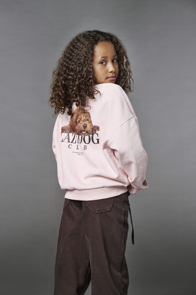 Kogbila L/s Ovz Print O-neck Swt Noos - Licht Roze