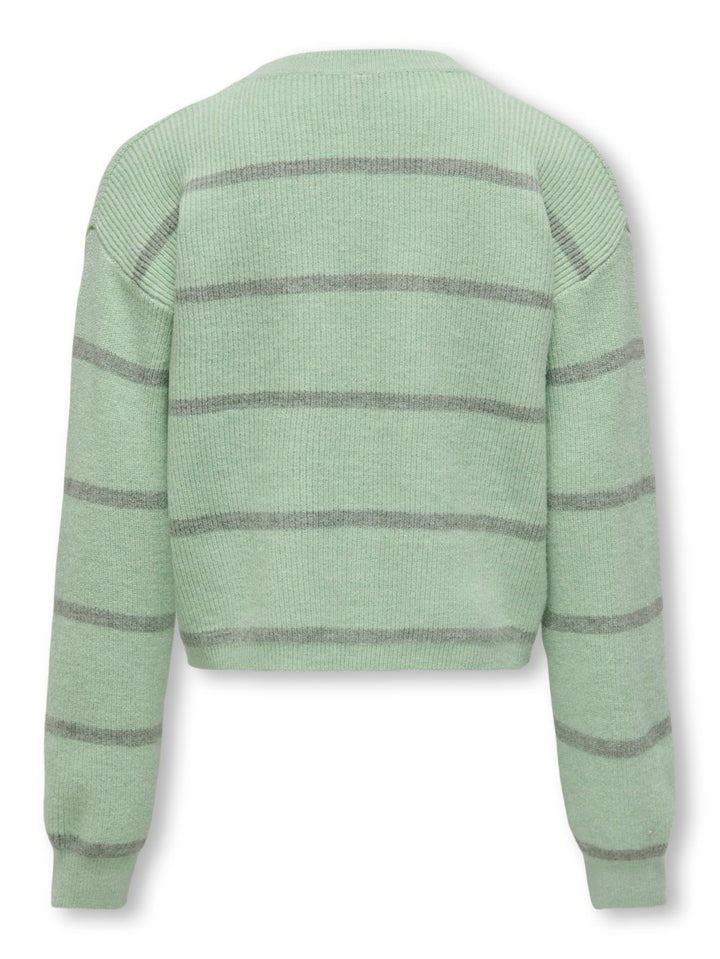 Kogfranca Short Ls Stripe Knt - Groen Dessin