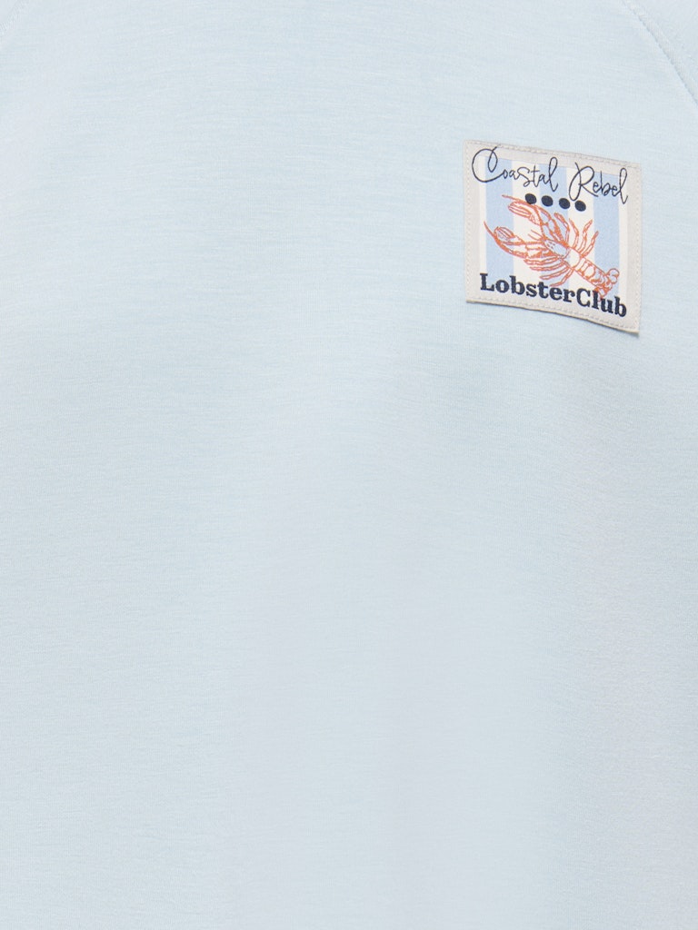 Kogada Ss Loose Top Swt - Lichtblauw