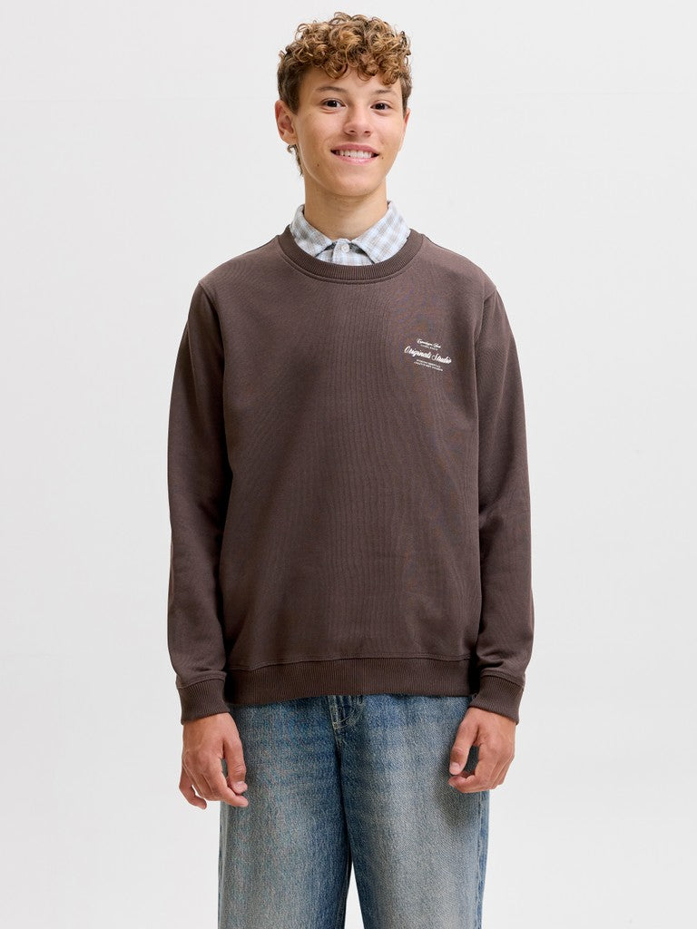 Jornorrebro Typo Back Sweat Cn Jnr - Bruin
