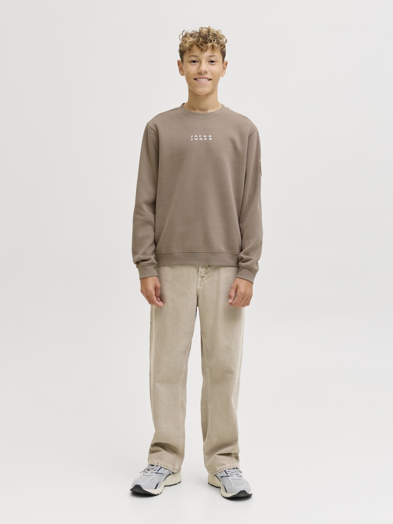 Jcopoint Sweat Badge Crew Neck Bf Jnr - Taupe