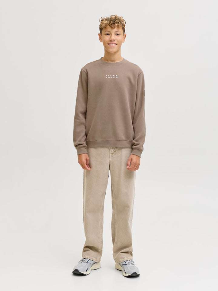 Jcopoint Sweat Badge Crew Neck Bf Jnr - Taupe