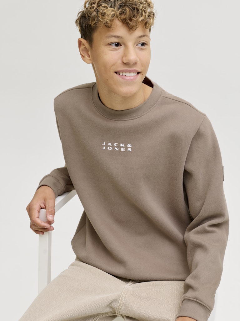 Jcopoint Sweat Badge Crew Neck Bf Jnr - Taupe