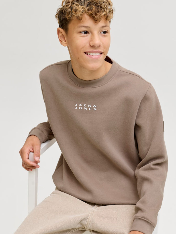 Jcopoint Sweat Badge Crew Neck Bf Jnr - Taupe