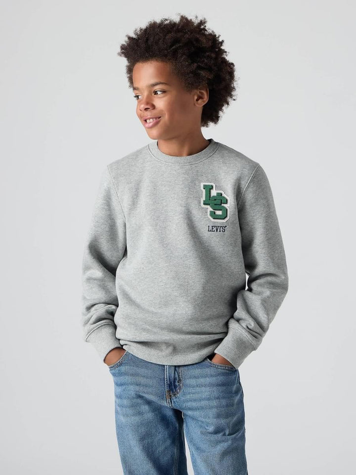 Steamline Monogram Crewneck - Grijs Melee