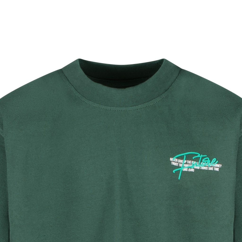 Kids Feturo Ts Mid Grey - Groen Dessin