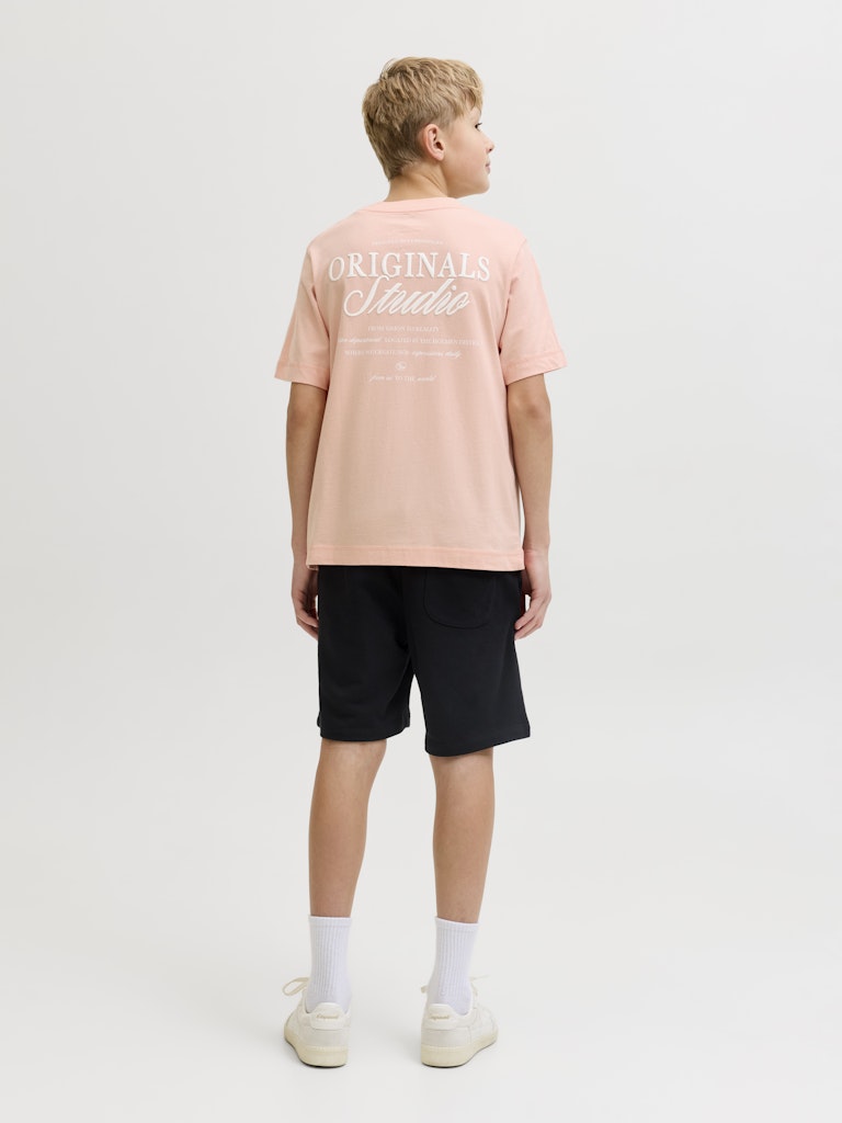 Jornorrebro Typo Tee Ss Crew Neck Sn Jnr - Zalm/peach
