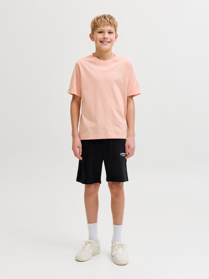 Jornorrebro Typo Tee Ss Crew Neck Sn Jnr - Zalm/peach