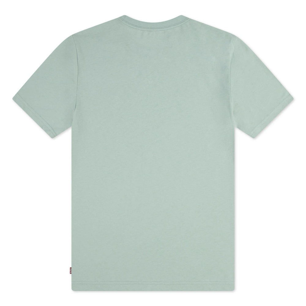Levi's boys A100 t-shirt mint – jongens