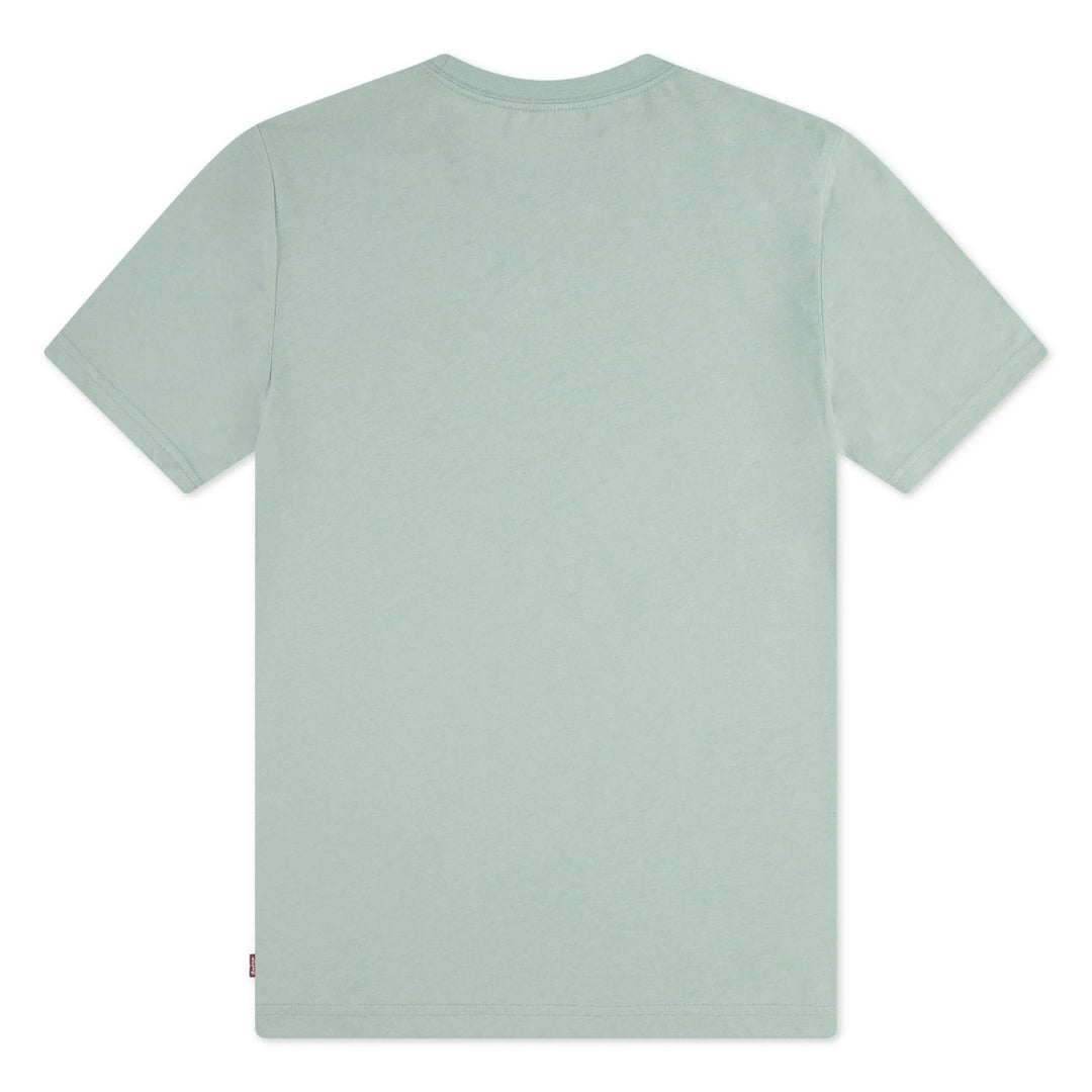 Levi's boys A100 t-shirt mint – jongens