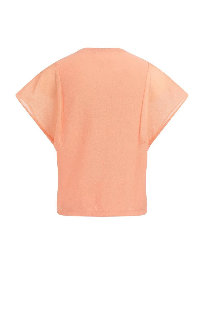 Sweater With Transparent Short - Zalm/peach