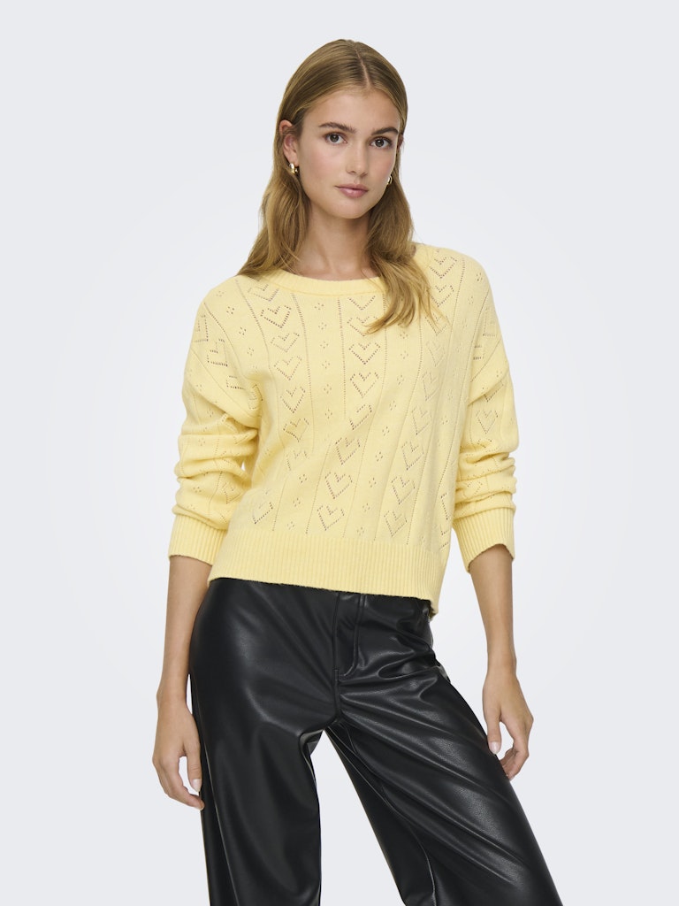 Onlisa Life Ls Struct Boxy Oneck Cc Knt - Geel