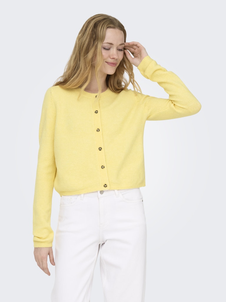 Jdychloe Life L/s Cardigan Knt Noos - Geel