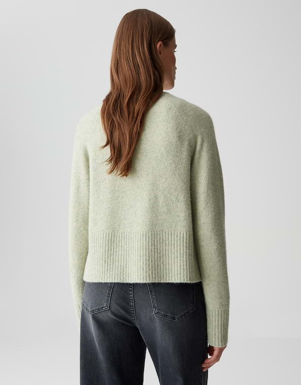 Dassi 10460813461100 - Mint