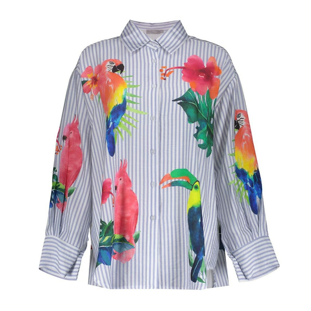 Blouse Stripes & Birds - Wit Dessin