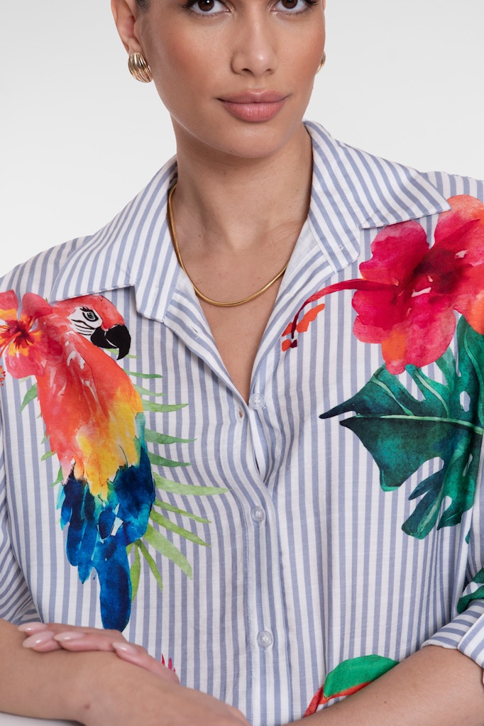 Blouse Stripes & Birds - Wit Dessin