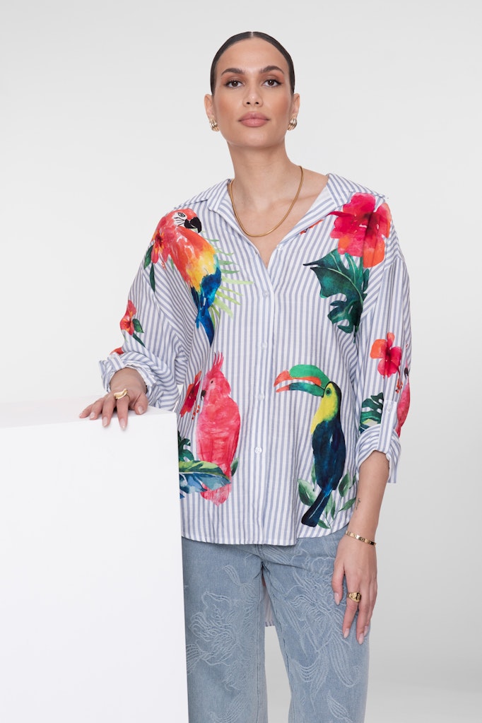 Blouse Stripes & Birds - Wit Dessin