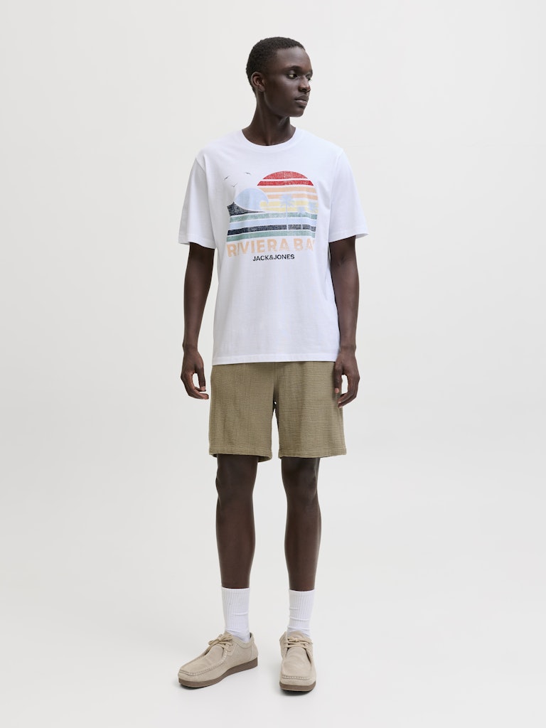 Jpstjaiden Coba Stripe Jog Shorts Reg Sn - Groen