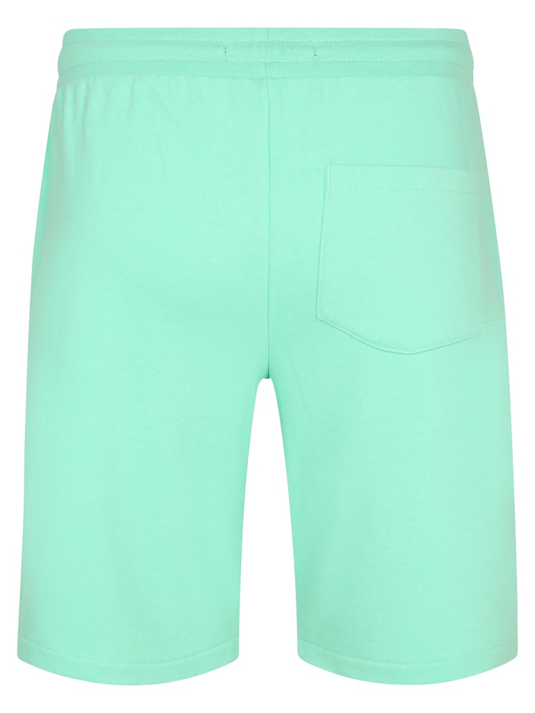 Men Short Jogging - Mint