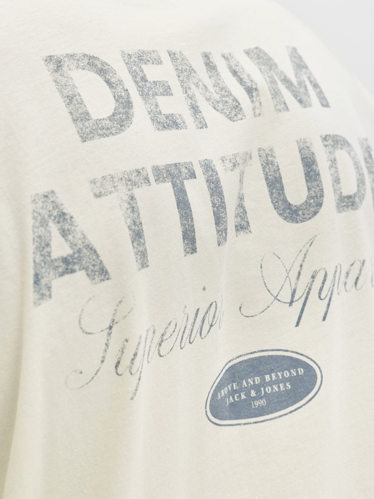 Jjedover Graphic Tee Ss Crew Neck - Ecru