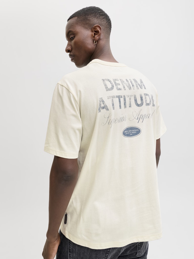 Jjedover Graphic Tee Ss Crew Neck - Ecru