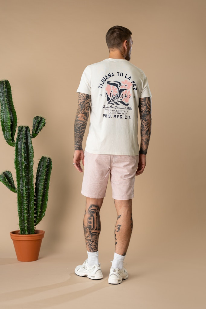 Men T-shirt Ss Classic Print - Ecru
