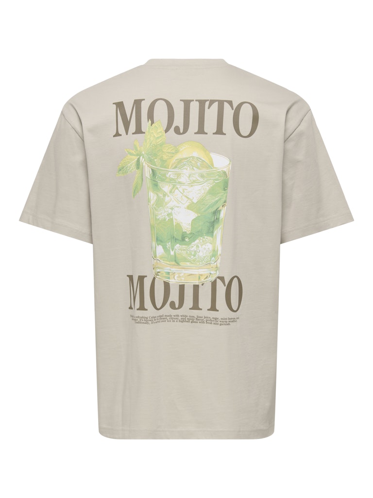 Onsfred Life Rlx Ss Print Tee Noos - Beige