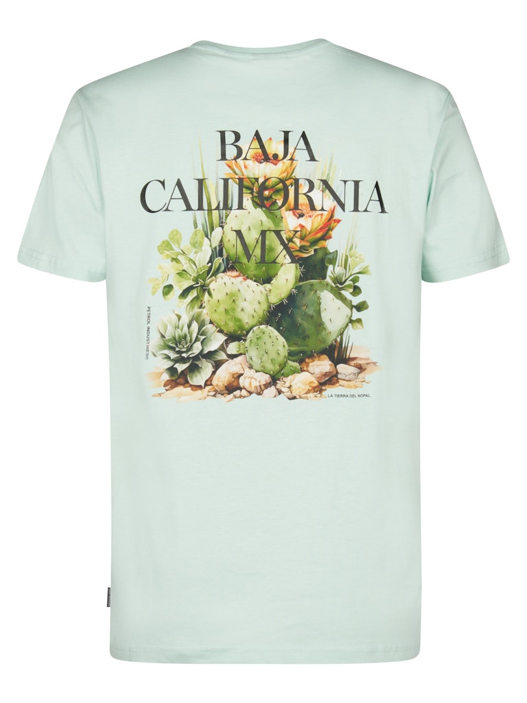 Men T-shirt Ss - Mint